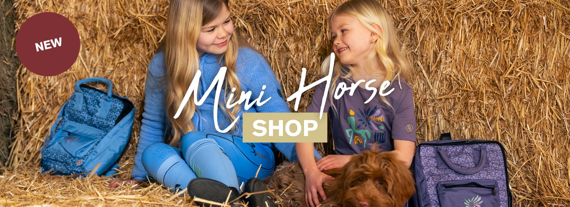 Mini Horse